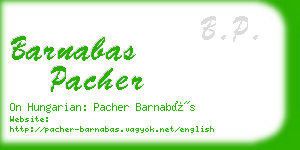 barnabas pacher business card